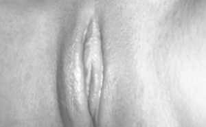 culos y vaginas