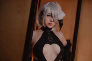 Hatori Sama - 2B ninja